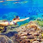 Phuket Similan Island Andaman Ocean Tour by Van and Speedboat - The Value of This Tour