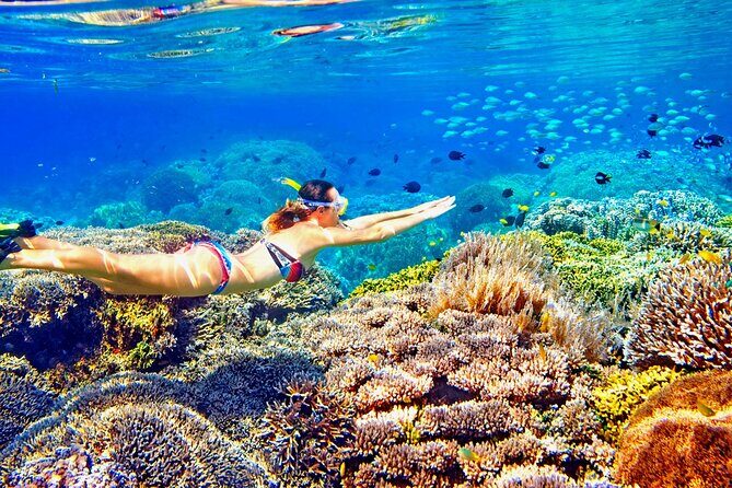 Phuket Similan Island Andaman Ocean Tour by Van and Speedboat - The Value of This Tour
