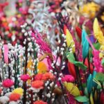 Pickup Kolkata & Day Trip To Santiniketan with Guided Trip - Why This Tour Might Be Your Best Choice