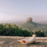 Pidurangala Day Tour From Negombo - What We Love About This Tour