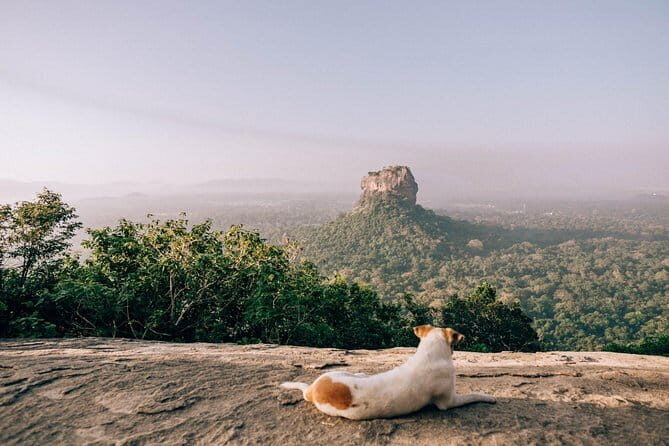 Pidurangala Day Tour From Negombo - What We Love About This Tour
