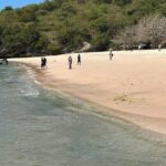 Pink Beach Lombok snorkeling & Day Trip Departure from Lombok - Authentic Insights from Reviews