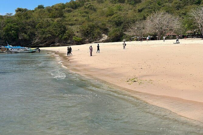 Pink Beach Lombok snorkeling & Day Trip Departure from Lombok - Authentic Insights from Reviews