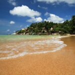 Pink Dolphin Spotting & Pig Island Speedboat Tour From Koh Samui - FAQ