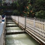 Pokhara Half Day Sightseeing Tour - Who Is This Tour Best For?