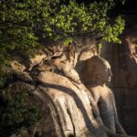 Polonnaruwa Ancient Kingdom and Wild Elephant Safari from Kandy - Final Thoughts