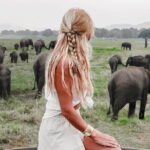 Polonnaruwa Unesco Ancient City And Elephant Safari Adventure - Price and Value Analysis