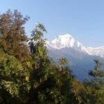 Poon Hill 3 Days short trek - Authentic Village Life and Culture