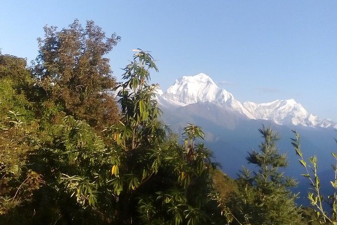 Poon Hill 3 Days short trek - Authentic Village Life and Culture