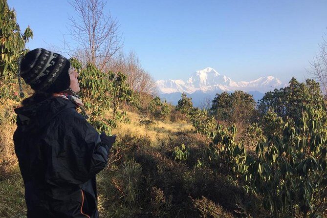 Poon Hill Circuit with Hot Spring Trek from Pokhara - Day 5: Ghandruk, Gurung Museum, and Return to Pokhara