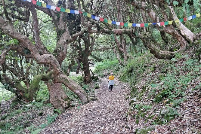 Poon Hill Ghorepani Trek - Introduction to the Poon Hill Ghorepani Trek