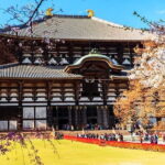 Popular highlights of Nara region day Tour Departure from Osaka - Who is This Tour Best Suited For?