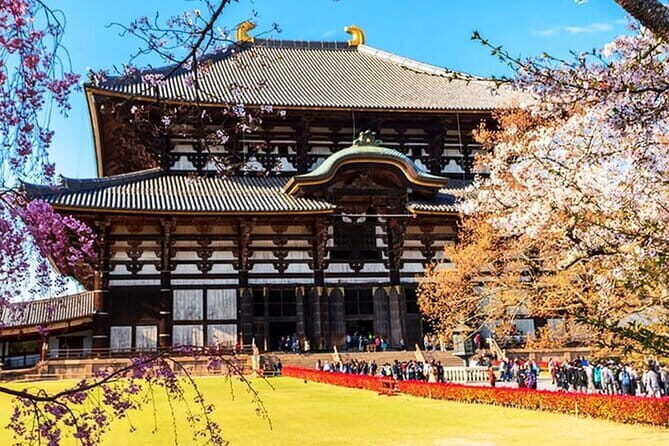 Popular highlights of Nara region day Tour Departure from Osaka - Who is This Tour Best Suited For?