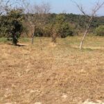 Preah Vihea Temple Tour by Car - The Experience on the Ground