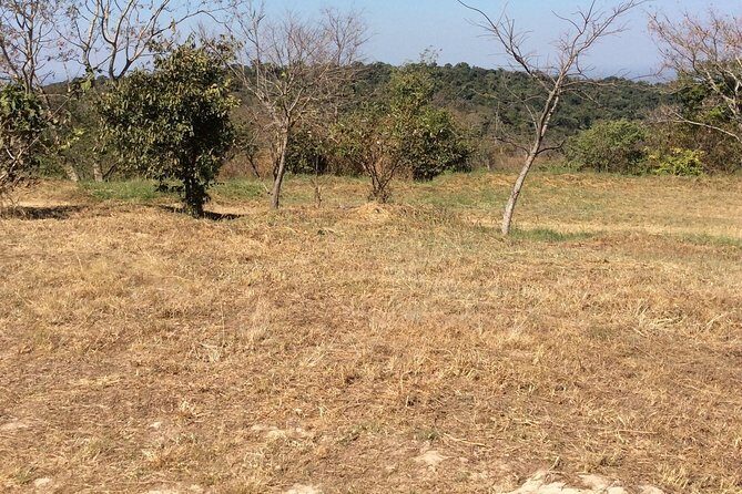 Preah Vihea Temple Tour by Car - The Experience on the Ground
