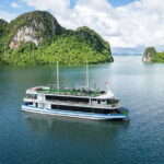Premium Halong Carnival 5 Star Cruise with Local Lunch from Hanoi - What We Loved (and What to Consider)