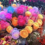 PRI Guangzhou Day Tour - Real Experiences from Other Travelers