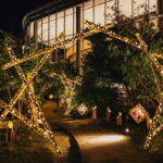 Princess Kaguya's Glowing Garden Pass in Sakuramachi Kumamoto - Why the Light Show Stands Out