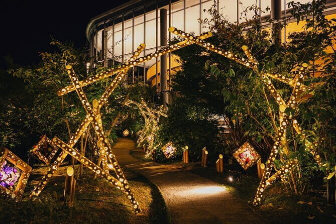 Princess Kaguya's Glowing Garden Pass in Sakuramachi Kumamoto - Why the Light Show Stands Out
