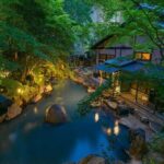 Private 1 Day JDM/Sports Car Tour to Mt Fuji, Hakone, and Onsen - The Practical Aspects