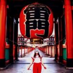 Private 1-Day Tokyo city tour with English speaking Driver - Key Points