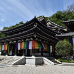 Private 1 Day Tour to Kamakura: Sea, Temples, and Coastal Scenery - Lunch and Local Life