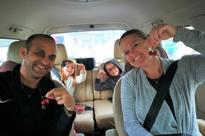 Private 1-way Transfer: Xi'an North Station/Airport to City Hotel - The Vehicle and Capacity