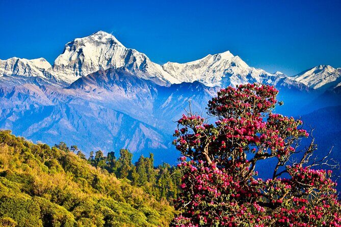 Private 10 Days Tour Package in Nepal - Trekking into the Annapurna Region: Gentle, Accessible, Stunning