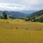 Private 3-Day Tour to Jianshui Old Town and Yuanyang Rice Terraces from Kunming - The Sum Up