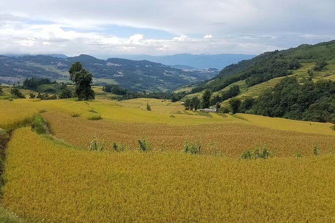 Private 3-Day Tour to Jianshui Old Town and Yuanyang Rice Terraces from Kunming - The Sum Up