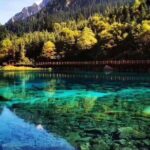 Private 3-Day Tour to Jiuzhaigou from Chengdu by Car - What the Reviews Tell Us (Informed Insights)