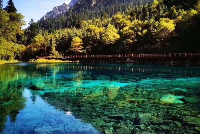 Private 3-Day Tour to Jiuzhaigou from Chengdu by Car - What the Reviews Tell Us (Informed Insights)
