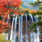 Private 5-Day Amazing Tour: Chengdu And Jiuzhaigou Tour Combo Package - An In-Depth Look at the Journey