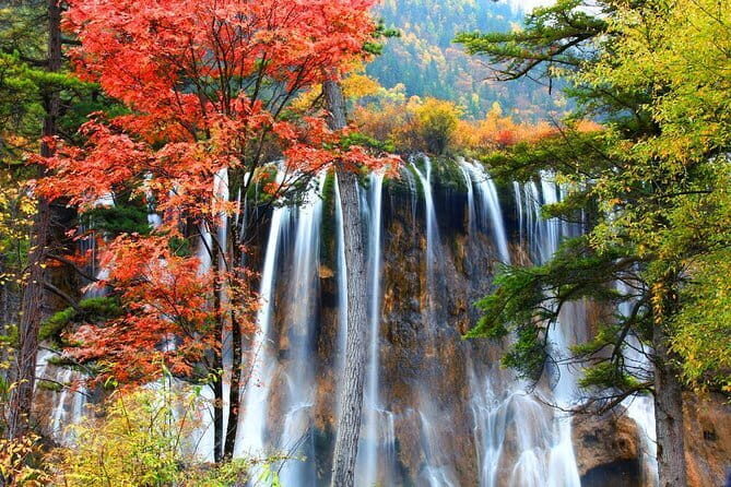 Private 5-Day Amazing Tour: Chengdu And Jiuzhaigou Tour Combo Package - An In-Depth Look at the Journey