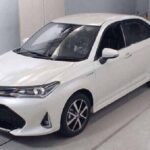Private Airport Pick up and Drop off Service in Chittagong City - Experience from Other Travelers