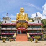 Private all inclusive Day trip Sigiriya Lion rock and Dambulla Cave temple - In-Depth Exploration of the Tour