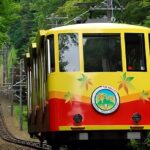 Private All Inclusive Family Tour to Takao Mountain with Prizes - The Sum Up