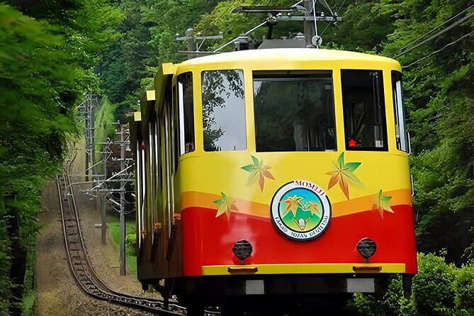 Private All Inclusive Family Tour to Takao Mountain with Prizes - The Sum Up
