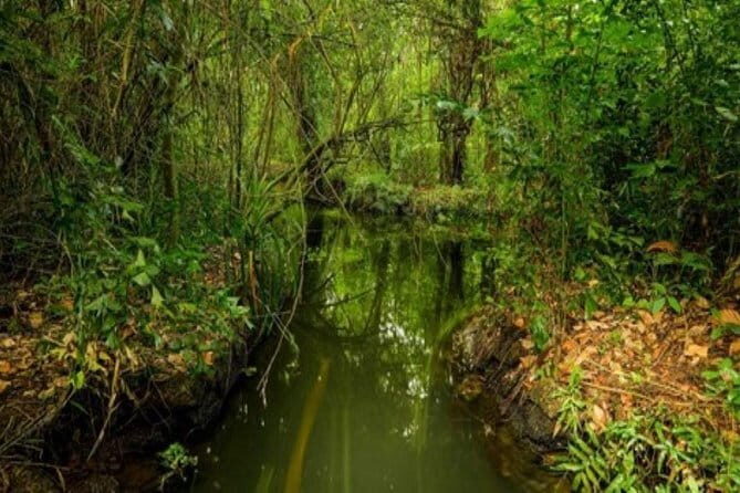 Private Alleppey Backwater Houseboat Day Cruise including Lunch - Analyzing the Value