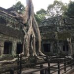Private Angkor Wat Sunrise Bayon Ta Prohm by bike - Exploring the Jungle-Covered Ta Prohm
