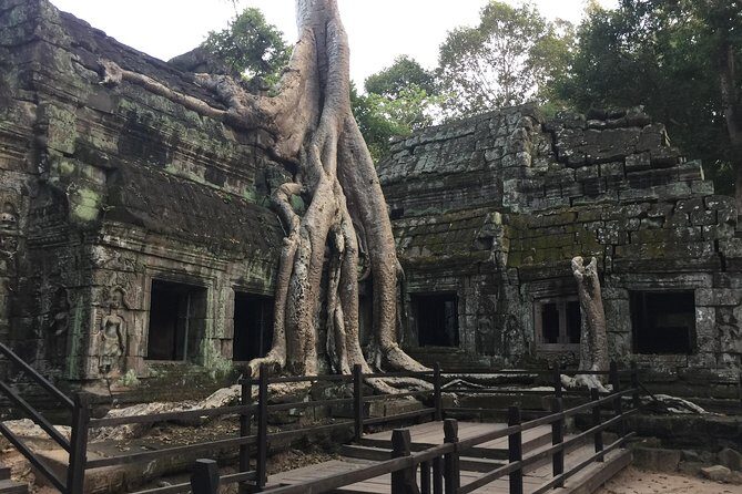 Private Angkor Wat Sunrise Bayon Ta Prohm by bike - Exploring the Jungle-Covered Ta Prohm