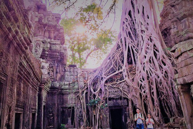 Private Angkor Wat Sunrise VIP by Jeep - What You’ll Love About This Tour