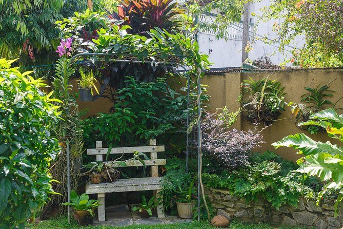 Private Authentic Sri Lankan Cooking Class with a Grandmother in Colombo - Why This Tour Matters