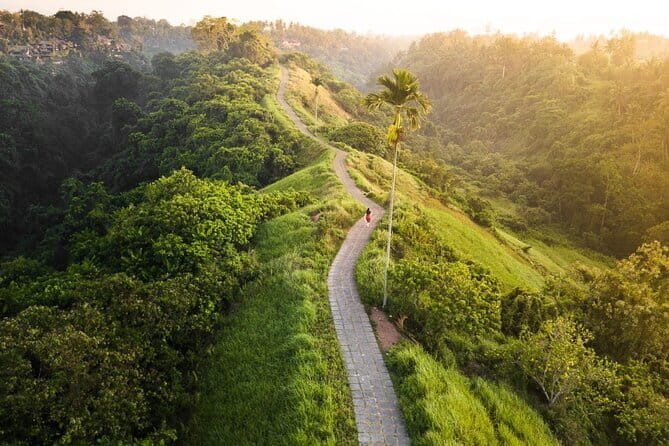 Private Bali Airport Transfer in Ubud Area - Meeting Point and Hotel Pickup