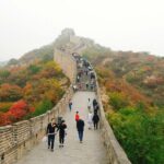 Private Beijing Mutianyu Great Wall Tour - A Detailed Look at the Tour