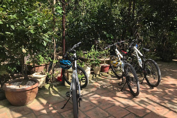 Private Bike Tour Explore Nha Trang Countryside With Your Local Guide - What Travelers Can Expect from the Experience