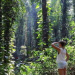 Private Bird watching and Nature trekking in Udawatta Kele Sanctuary - The Itinerary: What to Expect from Start to Finish