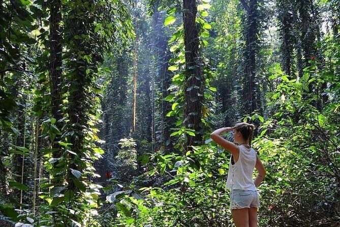 Private Bird watching and Nature trekking in Udawatta Kele Sanctuary - The Itinerary: What to Expect from Start to Finish