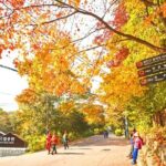 Private Bukhansan Mountain Hiking Tour with Korean Sauna - Who is this tour perfect for?