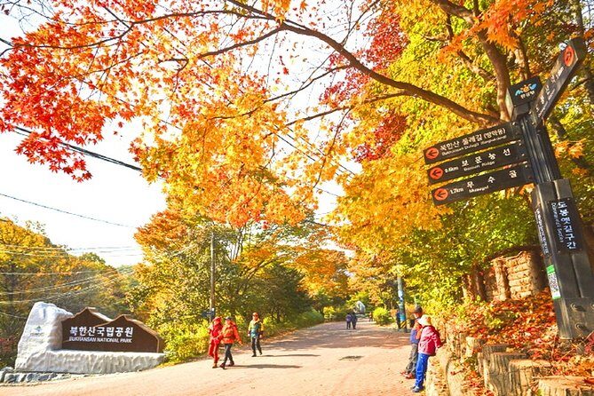 Private Bukhansan Mountain Hiking Tour with Korean Sauna - Who is this tour perfect for?